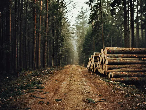 Roadwork